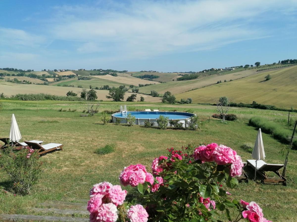 Il Giardino Nella Valle Belvedere Ostrense Buitenkant foto