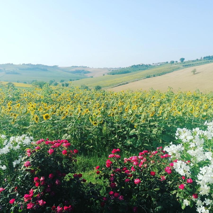 Il Giardino Nella Valle Belvedere Ostrense Buitenkant foto