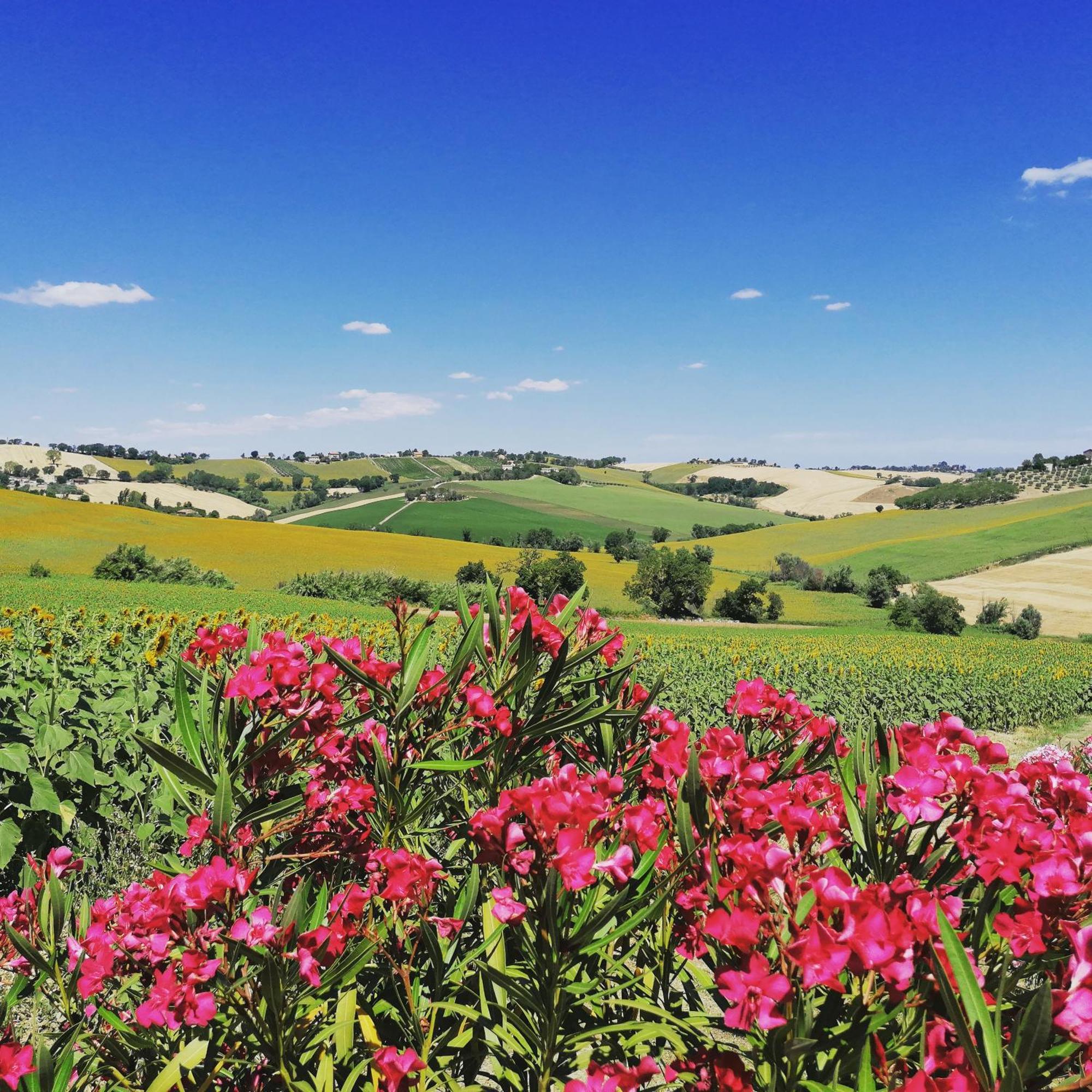 Il Giardino Nella Valle Belvedere Ostrense Buitenkant foto