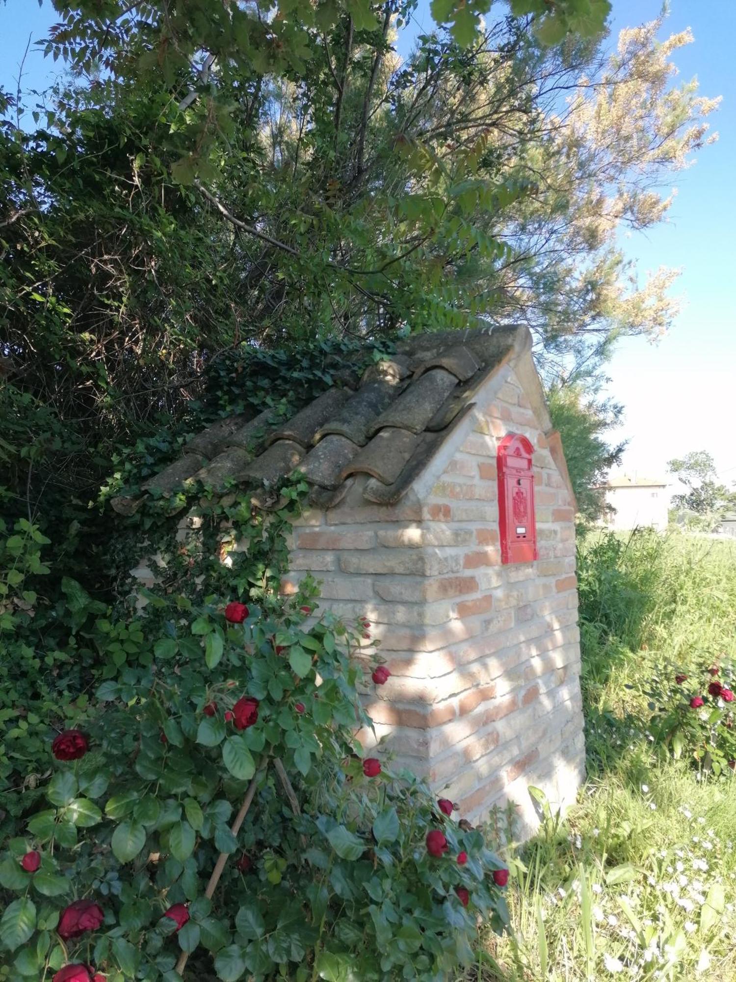 Il Giardino Nella Valle Belvedere Ostrense Buitenkant foto