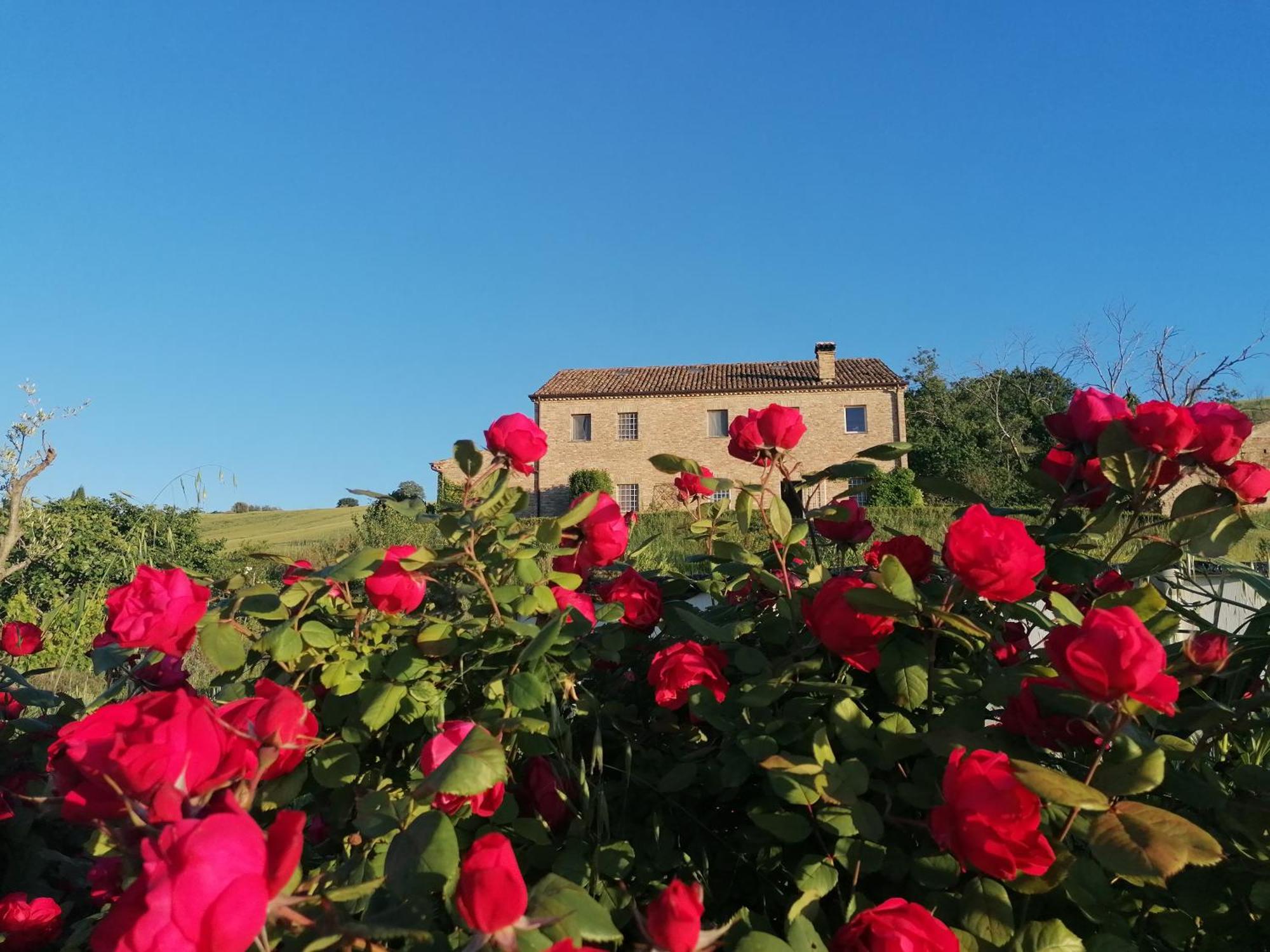 Il Giardino Nella Valle Belvedere Ostrense Buitenkant foto
