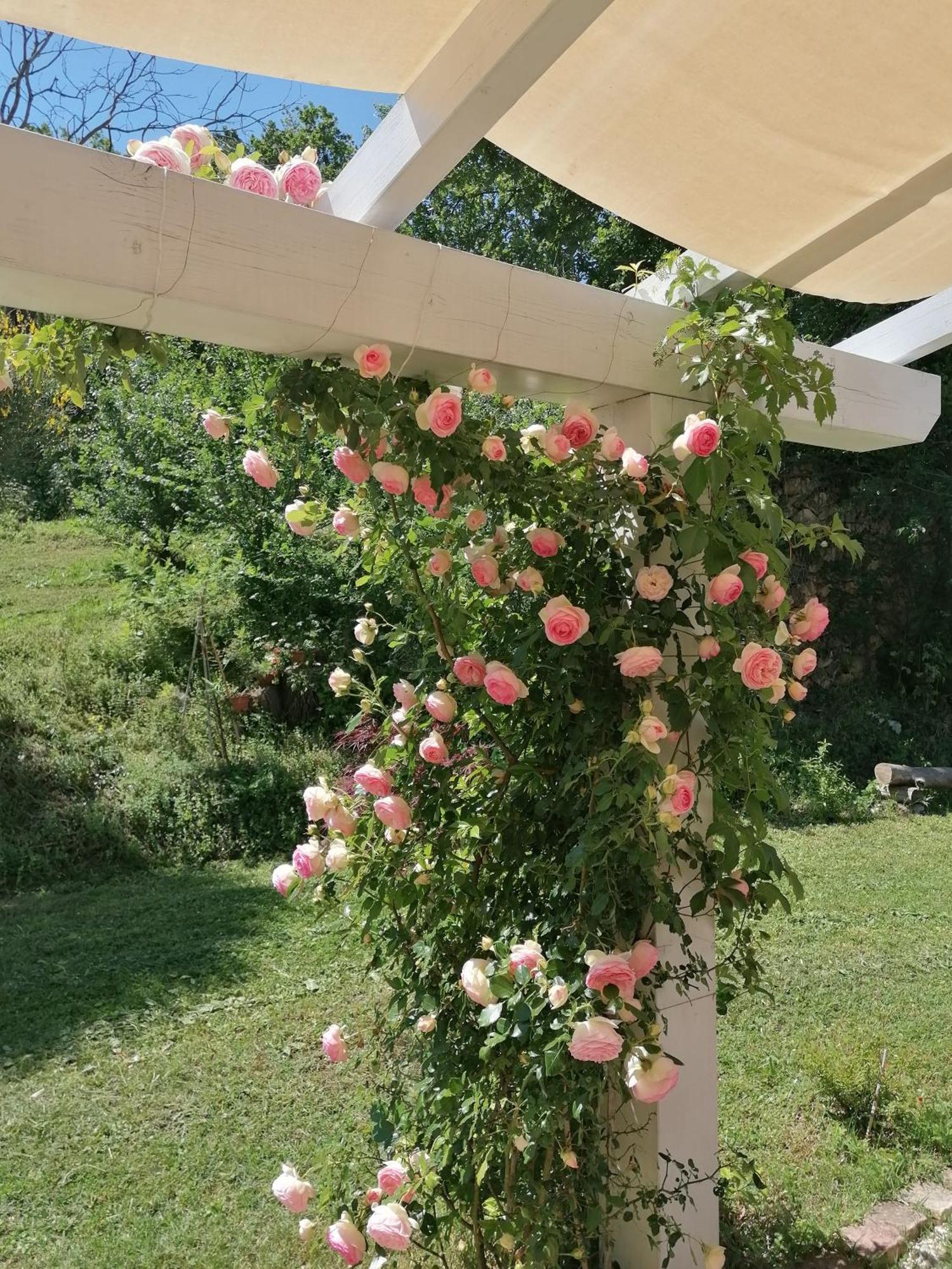 Il Giardino Nella Valle Belvedere Ostrense Buitenkant foto
